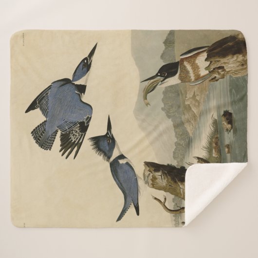 Audubon Belted Kingfisher Wildlife Bird Sherpadecke (Vorderseite (Horizontal))