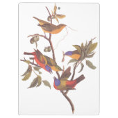 Audubon bemalt Jagdvögel in einem Cherokee Pflaume Klemmbrett (Rückseite)