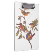 Audubon bemalt Jagdvögel in einem Cherokee Pflaume Klemmbrett (Rechts)