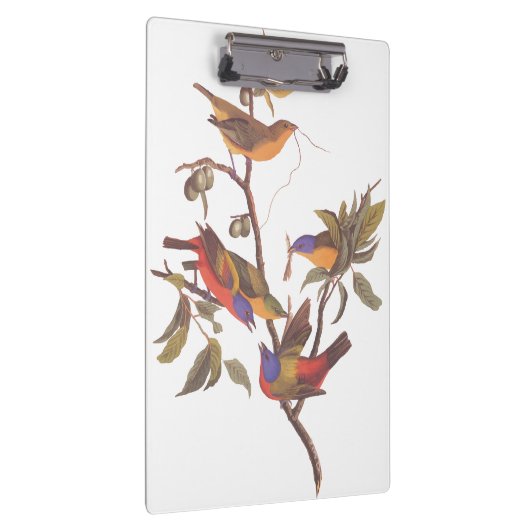 Audubon bemalt Jagdvögel in einem Cherokee Pflaume Klemmbrett (Rechts)