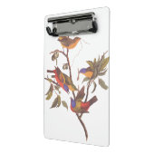 Audubon bemalt Jagdvögel in einem Cherokee Pflaume Mini Klemmbrett (Gewinkelt2)