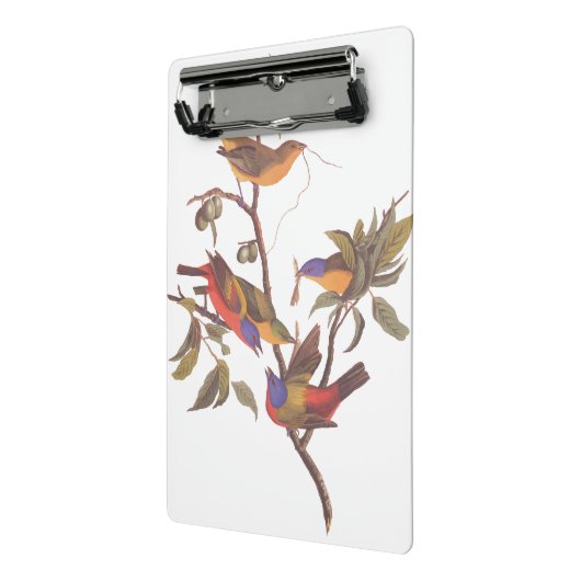 Audubon bemalt Jagdvögel in einem Cherokee Pflaume Mini Klemmbrett (Gewinkelt2)