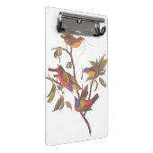 Audubon bemalt Jagdvögel in einem Cherokee Pflaume Mini Klemmbrett (Schrägansicht)