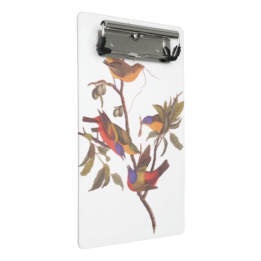 Audubon bemalt Jagdvögel in einem Cherokee Pflaume Mini Klemmbrett (Schrägansicht)