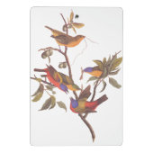 Audubon bemalt Jagdvögel in einem Cherokee Pflaume Mini Klemmbrett (Rückseite)