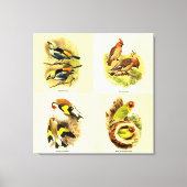 Audubon Bird Gallery Set von 4 Leinwanddruck (Vorderseite)