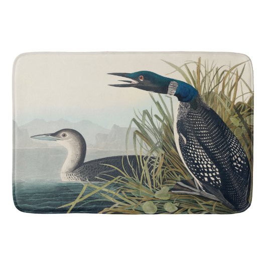 Audubon Bird Loon Diver Classic Badematte (Vorderseite)