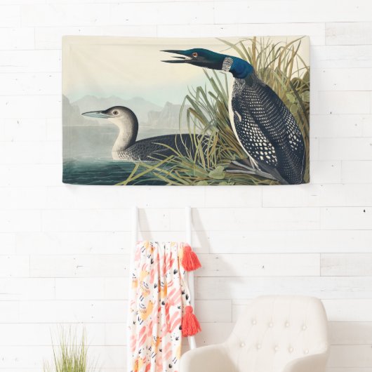Audubon Bird Loon Diver Classic Banner (Insitu)