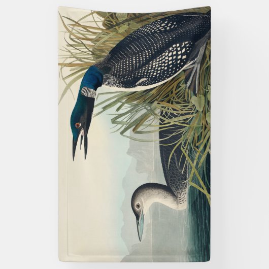 Audubon Bird Loon Diver Classic Banner (Vertikal)