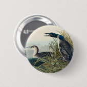 Audubon Bird Loon Diver Classic Button (Vorne & Hinten)