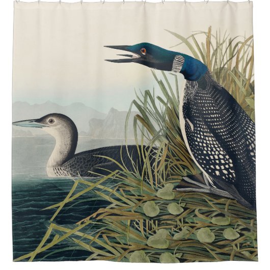 Audubon Bird Loon Diver Classic Duschvorhang (Vorderseite)