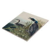 Audubon Bird Loon Diver Classic Fliese (Seite)