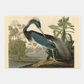 Audubon Bird Loon Diver Classic Geschenkpapier Set (Vorderseite 3)