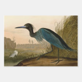 Audubon Bird Loon Diver Classic Geschenkpapier Set (Vorderseite 2)