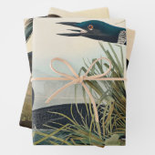 Audubon Bird Loon Diver Classic Geschenkpapier Set (Beispiel)