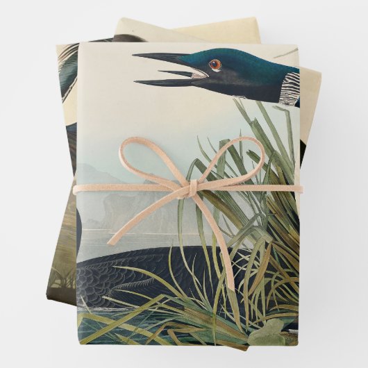 Audubon Bird Loon Diver Classic Geschenkpapier Set (Beispiel)