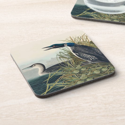 Audubon Bird Loon Diver Classic Getränkeuntersetzer (Linke Seite)