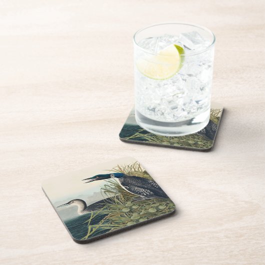 Audubon Bird Loon Diver Classic Getränkeuntersetzer (Rechte Seite)