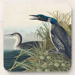 Audubon Bird Loon Diver Classic Getränkeuntersetzer