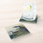 Audubon Bird Loon Diver Classic Glasuntersetzer (Schrägansicht)