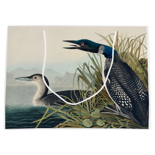 Audubon Bird Loon Diver Classic Große Geschenktüte (Vorderseite)