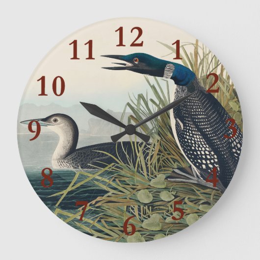Audubon Bird Loon Diver Classic Große Wanduhr (Vorderseite)