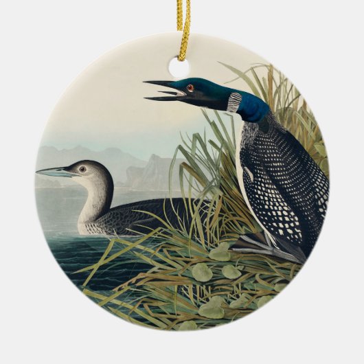 Audubon Bird Loon Diver Classic Keramik Ornament (Vorne)