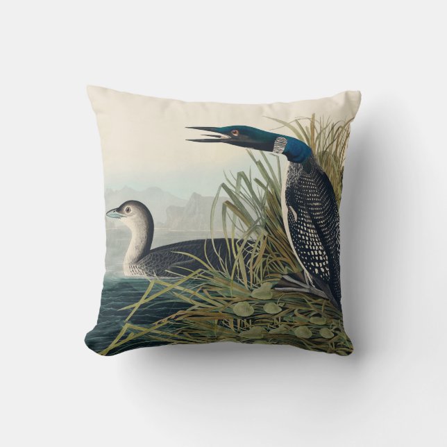 Audubon Bird Loon Diver Classic Kissen (Vorderseite)