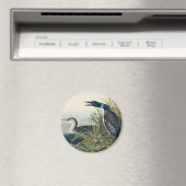 Audubon Bird Loon Diver Classic Magnet (In Situ (Geschirrspüler))