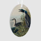 Audubon Bird Loon Diver Classic Ornament (Vorderseite)