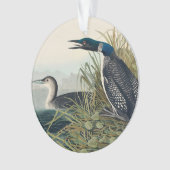 Audubon Bird Loon Diver Classic Ornament (Vorderseite)