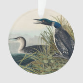 Audubon Bird Loon Diver Classic Ornament (Vorderseite)