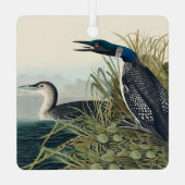 Audubon Bird Loon Diver Classic Ornament Aus Metall (Rückseite)