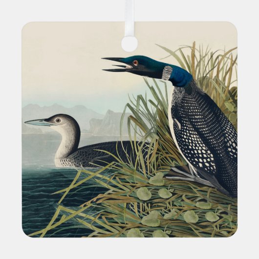 Audubon Bird Loon Diver Classic Ornament Aus Metall (Vorderseite)