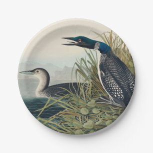 Audubon Bird Loon Diver Classic Pappteller