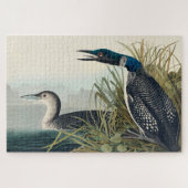 Audubon Bird Loon Diver Classic Puzzle (Horizontal)