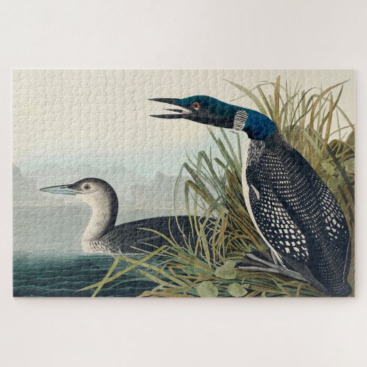Audubon Bird Loon Diver Classic Puzzle (Horizontal)