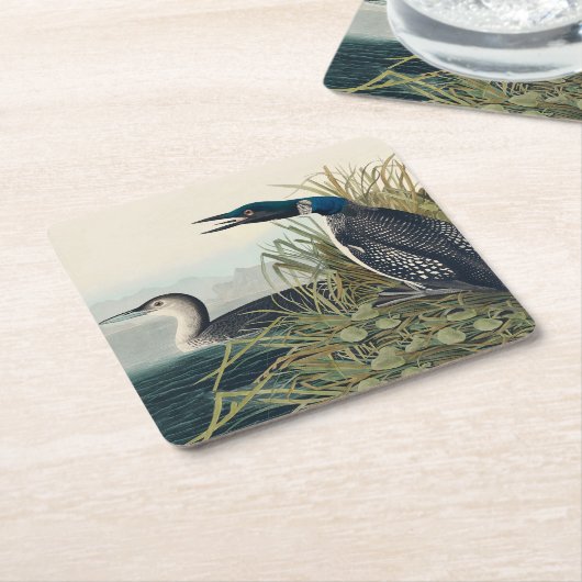 Audubon Bird Loon Diver Classic Rechteckiger Pappuntersetzer (angewinkelt)