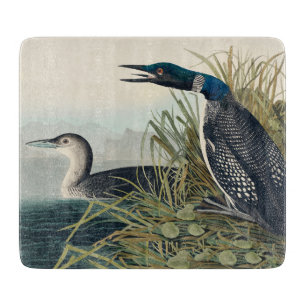Audubon Bird Loon Diver Classic Schneidebrett