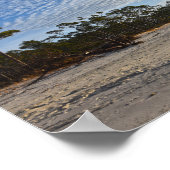 Audubon Bird Refuge Beach, Dauphin Island, Alabama Poster (Ecke)