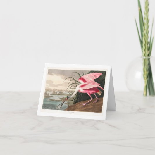 Audubon Birds of America Dankeskarte (Vorderseite)