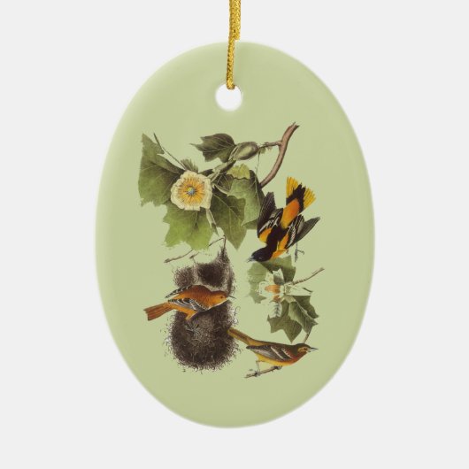 Audubon Birds Troupial Vintag Art Ornament (Vorne)