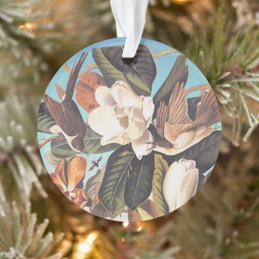 Audubon Black Billed Cuckoo Birds Ornament (Baum)