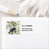 Audubon Black Crow American Bird Illustration (Insitu)