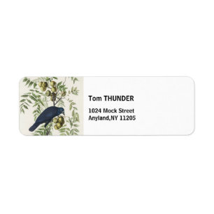 Audubon Black Crow American Bird Illustration