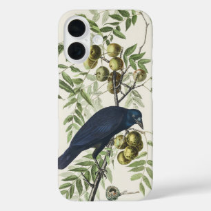 Audubon Black Crow American Bird Illustration iPhone 16 Hülle