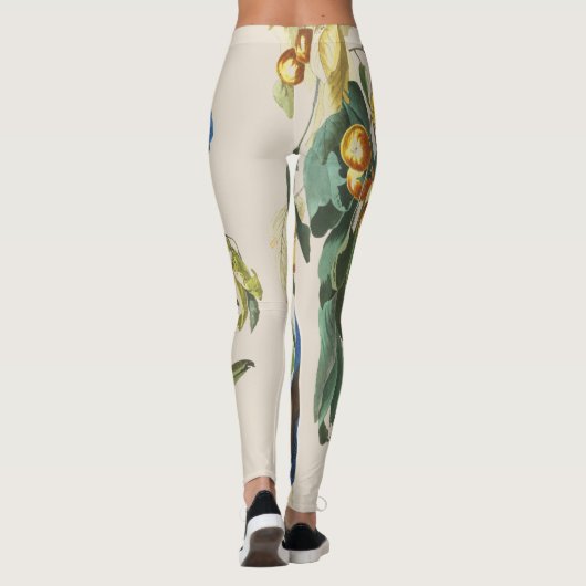 Audubon blaue Jay-Vögel ganz über Druck-Leggings Leggings (Rückseite)