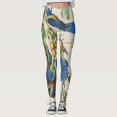 Audubon blaue Jay-Vögel ganz über Druck-Leggings Leggings (Vorderseite)