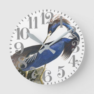 Audubon blauer Reiher-Vogel-große Zahl-Wanduhr Runde Wanduhr