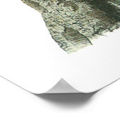 Audubon Blue Jay Poster (Ecke)